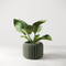 Orbis Planter-Planter-Parc Decor