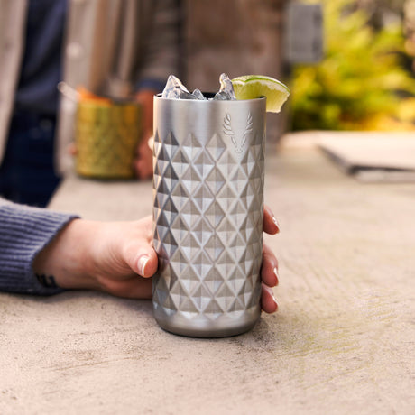 Paragon Stainless Steel Highball Tumbler in Platinum-product_type::drink_tumblers-Parc Decor