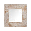 Parrot Uncle Frame for Mirrors Traditional Square Mirror Vintage Wall Decoration with Leaf Pattern