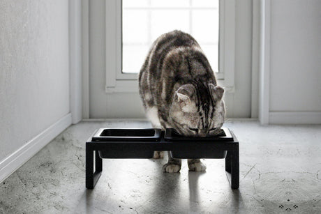 Pet Food Bowl - Tall - Steel + Ceramic