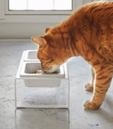 Pet Food Bowl - Tall - Steel + Ceramic-Pets-Parc Decor