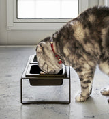Pet Food Bowl - Tall - Steel + Ceramic-Pets-Parc Decor