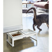Pet Food Bowl - Tall - Steel + Ceramic