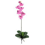 Phalaenopsis Stem (Set of 12)-Stem-Parc Decor