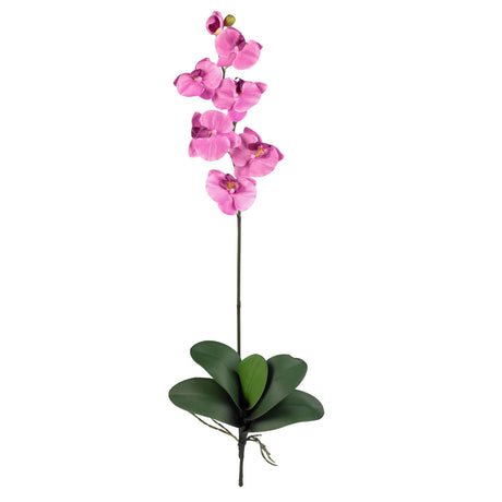 Phalaenopsis Stem (Set of 12)-Stem-Parc Decor