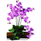 Phalaenopsis Stem (Set of 12)-Stem-Parc Decor