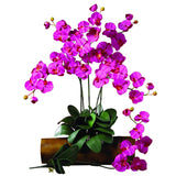 Phalaenopsis Stem (Set of 12)-Stem-Parc Decor