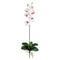 Phalaenopsis Stem (Set of 12)-Stem-Parc Decor