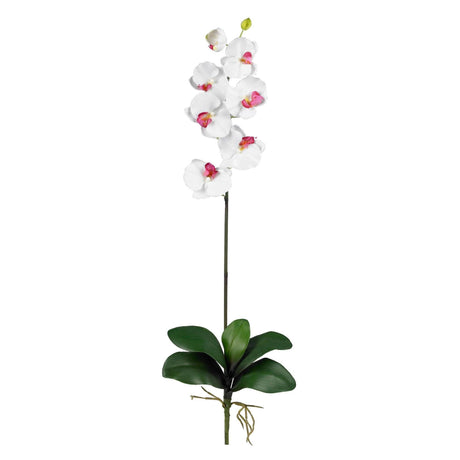 Phalaenopsis Stem (Set of 12)-Stem-Parc Decor