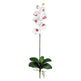 Phalaenopsis Stem (Set of 12)-Stem-Parc Decor