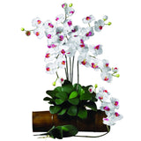 Phalaenopsis Stem (Set of 12)-Stem-Parc Decor