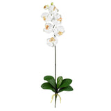 Phalaenopsis Stem (Set of 12)-Stem-Parc Decor
