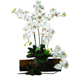 Phalaenopsis Stem (Set of 12)-Stem-Parc Decor