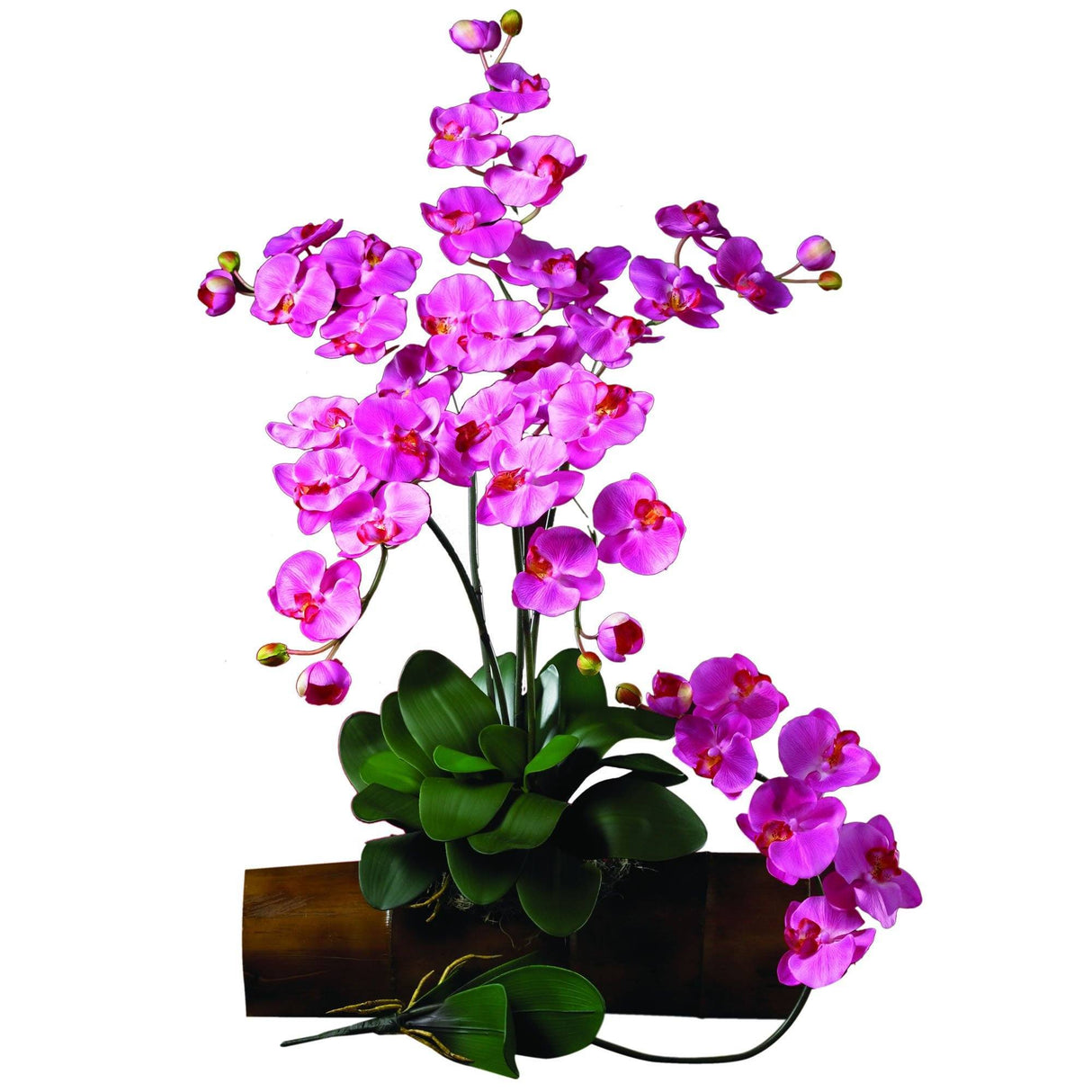 Phalaenopsis Stem (Set of 12)-Stem-Parc Decor