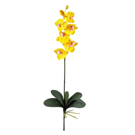 Phalaenopsis Stem (Set of 12)-Stem-Parc Decor