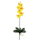 Phalaenopsis Stem (Set of 12)-Stem-Parc Decor