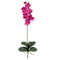 Phalaenopsis Stem (Set of 12)-Stem-Parc Decor