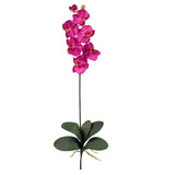 Phalaenopsis Stem (Set of 12)-Stem-Parc Decor