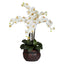 Phalaenopsis w/Decorative Vase Silk Flower Arrangement