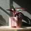Pillar Planter