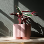 Pillar Planter