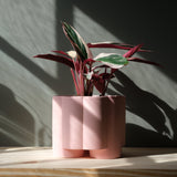 Pillar Planter