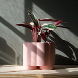 Pillar Planter-Pots & Planters-Parc Decor