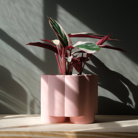 Pillar Planter-Pots & Planters-Parc Decor