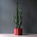 Pillar Planter-Pots & Planters-Parc Decor
