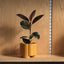 Pillar Planter