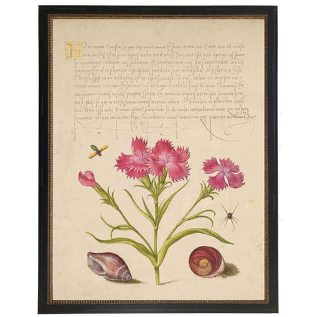 Pink Flowers and Calligraphy 1500s Bookplate Reproduction Print in Black Beaded Frame-Art-Parc Decor
