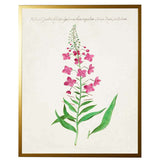 Pink Flowers Vintage Bookplate Reproduction Botanical Print in Gold Shadowbox Frame-Art-Parc Decor
