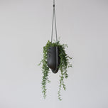 Portico Planter