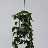 Portico Planter-Pots & Planters-Parc Decor