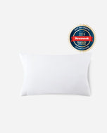 Premium Bamboo Viscose Pillowcase Set