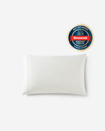 Premium Bamboo Viscose Pillowcase Set