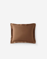 Premium Bamboo Viscose Sham Set