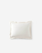 Premium Bamboo Viscose Sham Set
