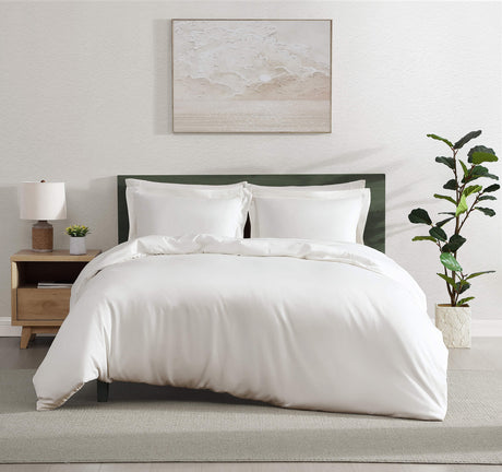 Premium Bamboo Viscose Sham Set