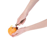 Professional Channel Knife with Walnut Wood Handle-product_type::garnishing_tools-Parc Decor