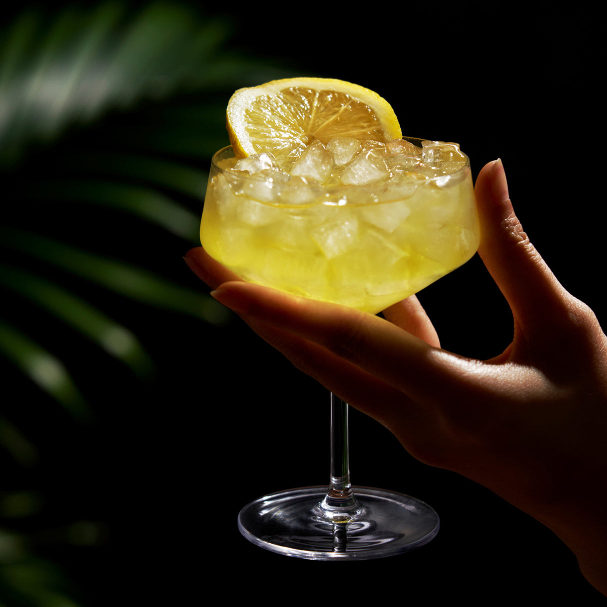 Raye Angled Crystal Coupe Glasses Set of 2-product_type::stemmed_cocktail_glasses-Parc Decor