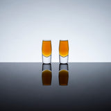 Raye Heavy Base Crystal Shot Glasses Set of 2