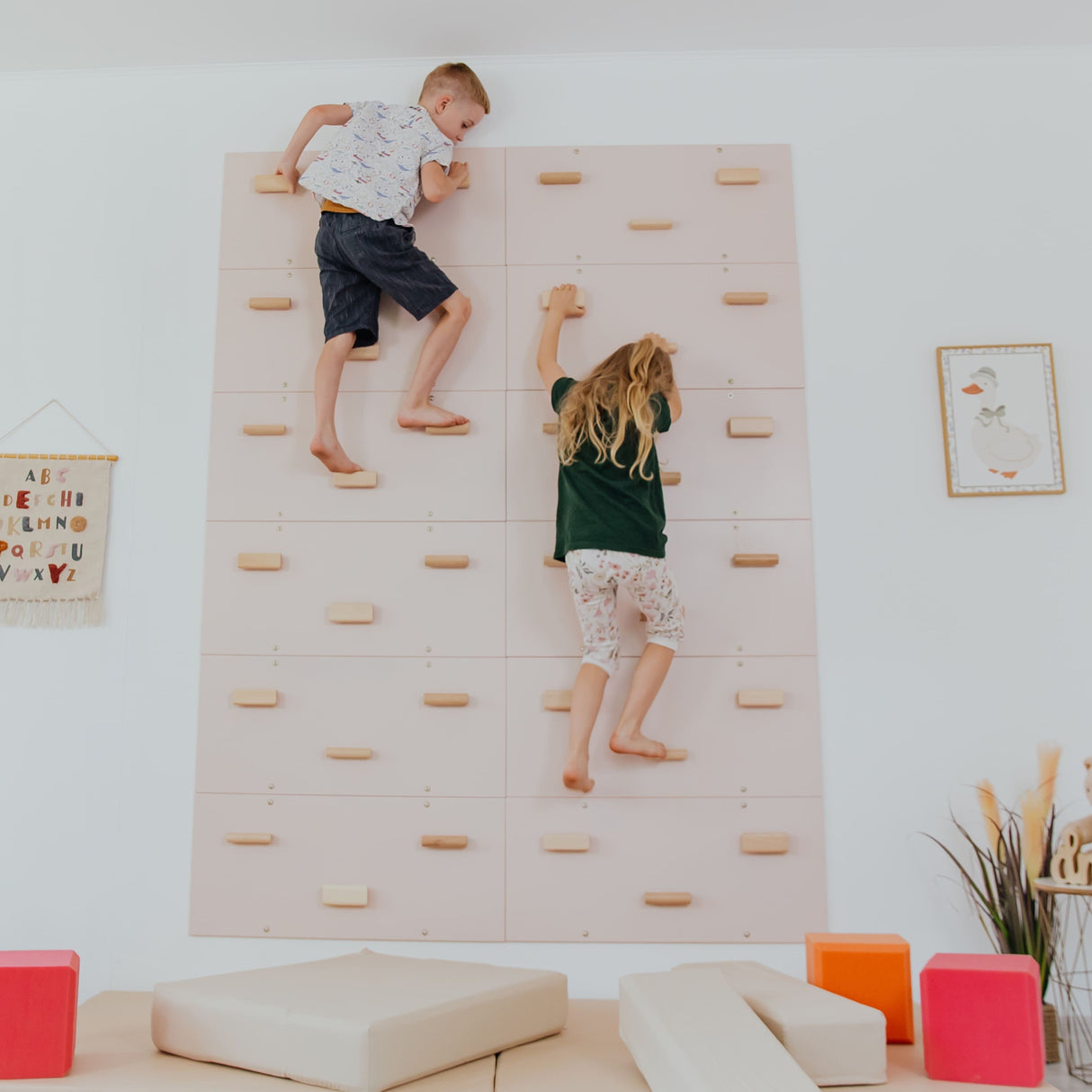 Rock Climbing Wall-Climbing Set-Parc Decor