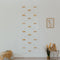 Rock Climbing Wall-Climbing Set-Parc Decor