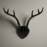Rustic Antler Wall Hook with Shield Backplate-Wall Hook-Parc Decor