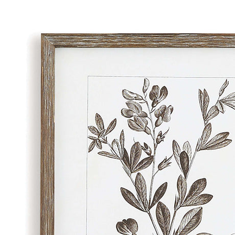 Rustic Botanical Sepia Wall Art Prints (Set of 9)-Artwork-Parc Decor