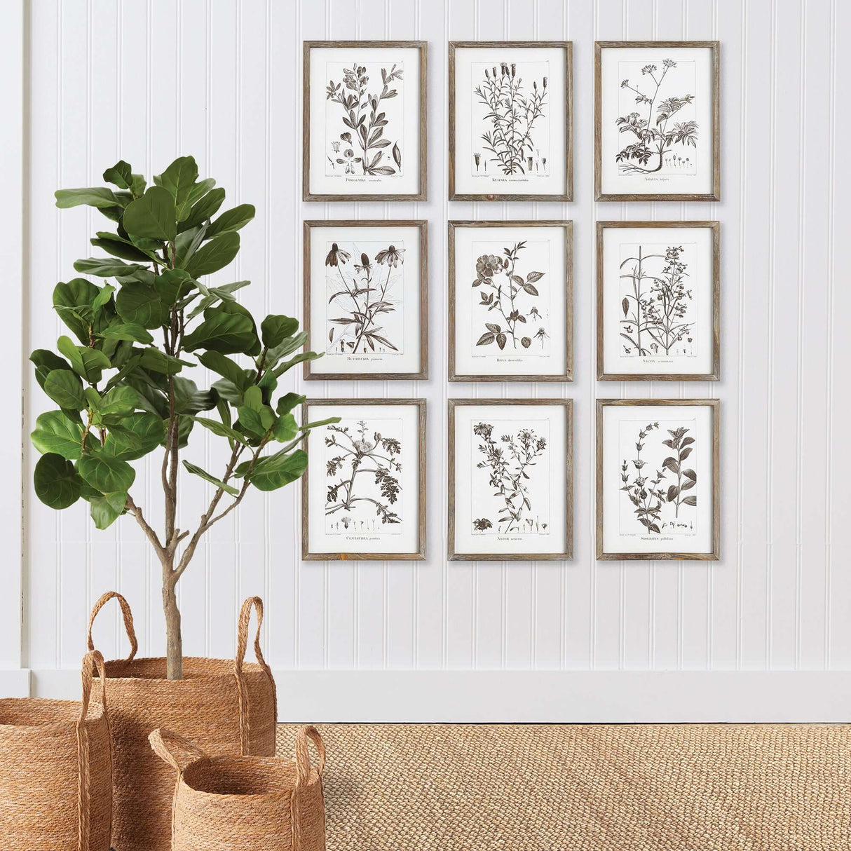 Rustic Botanical Sepia Wall Art Prints (Set of 9)-Artwork-Parc Decor