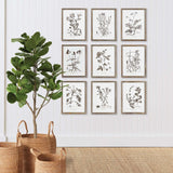 Rustic Botanical Sepia Wall Art Prints (Set of 9)-Artwork-Parc Decor