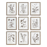 Rustic Botanical Sepia Wall Art Prints (Set of 9)-Artwork-Parc Decor