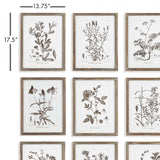Rustic Botanical Sepia Wall Art Prints (Set of 9)-Artwork-Parc Decor